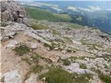 Passo di Costalunga / Karerpass - Roda di Vael / Rotwand